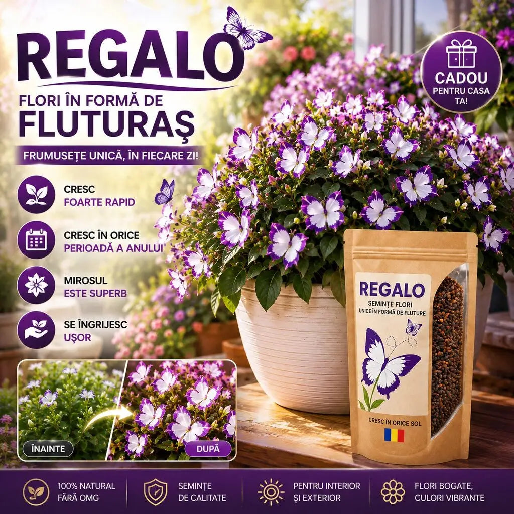 REGALO® - Flori Fluturaș
