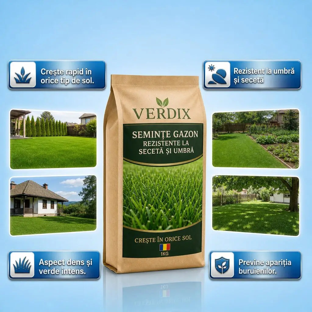 VERDIX - GAZON REZISTENT ȘI DES