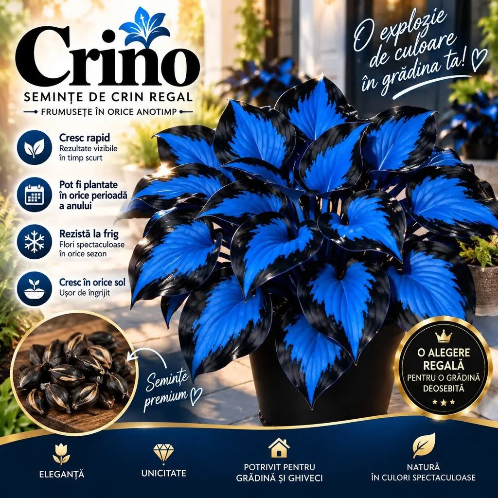 CRINO® - Semințe Crini Regali