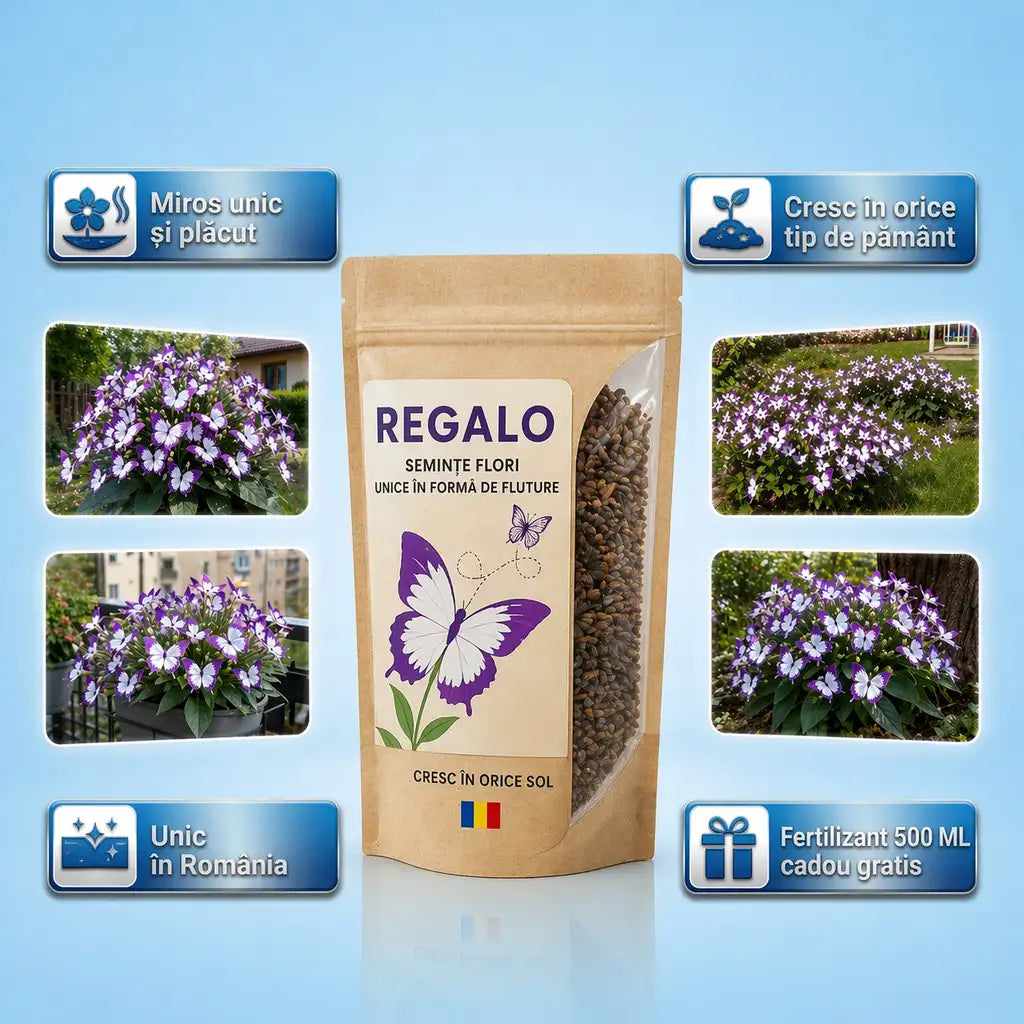 REGALO® - Flori în formă de fluture